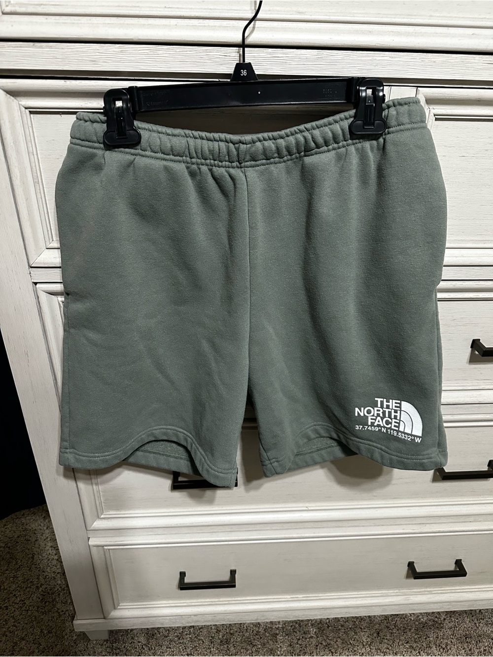 The North Face Men's Olive Fleece Athletic Shorts